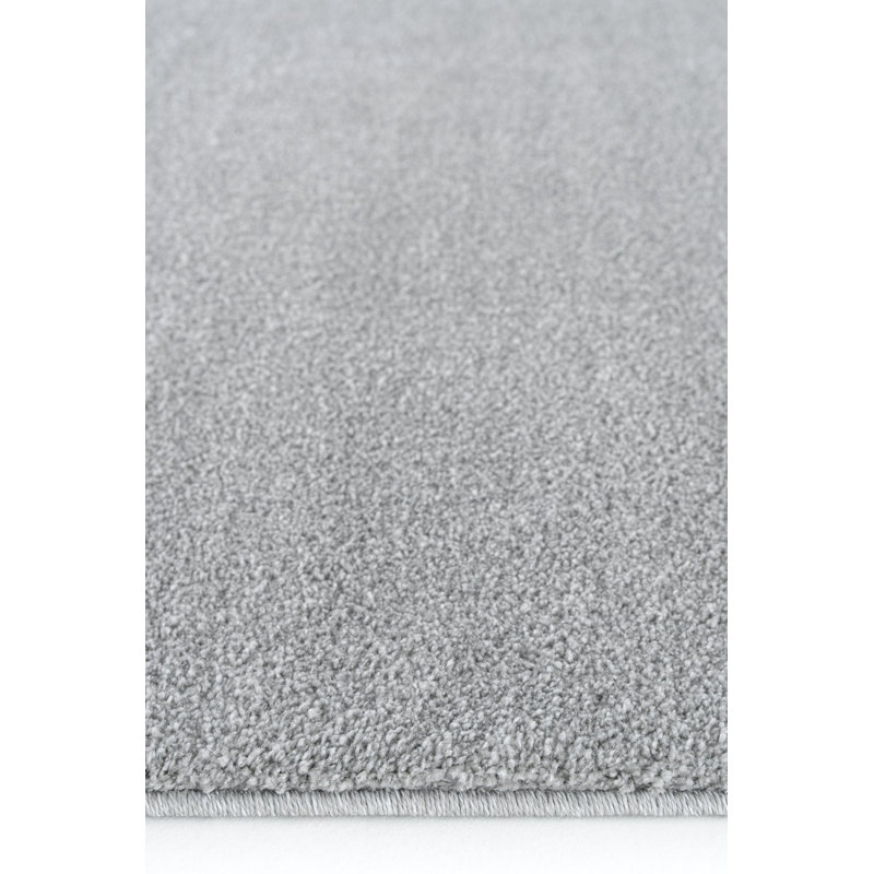 Rasun Solid Colour Machine Made Indoor / Outdoor Area Rug, Rectangle 2'7" x 4'11"