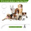 USB Rechargeable Lighting LED Dog Collar-98664269