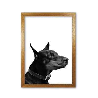 Dog - Print