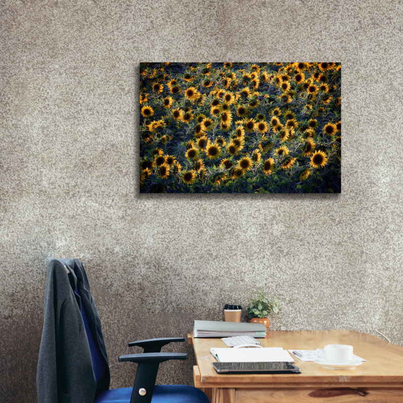 «Aroostook Sunflowers» par Rick Berk, art mural sur toile, H 26 po x l 40 po x P 1,5 po