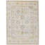 Wool Oriental Area Rug in Beige
