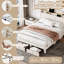 Darlita Upholstered Storage Bed-1546695120