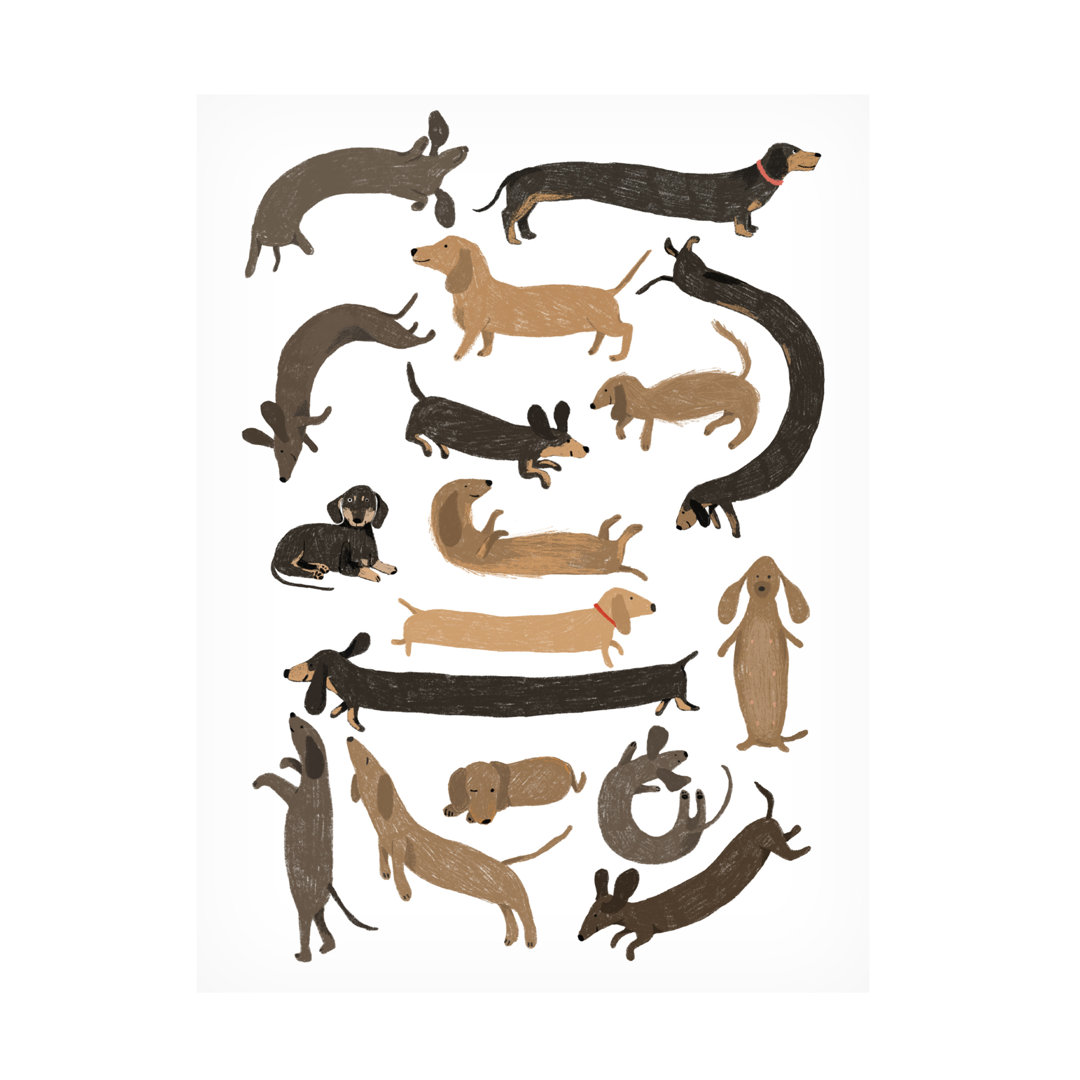 " Dachshund Print " Trademark Fine Art 