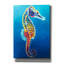 «Seahorse - Rainbow» par Dawg Painter, art mural épique sur toile, 40 po x 54 po-101632075