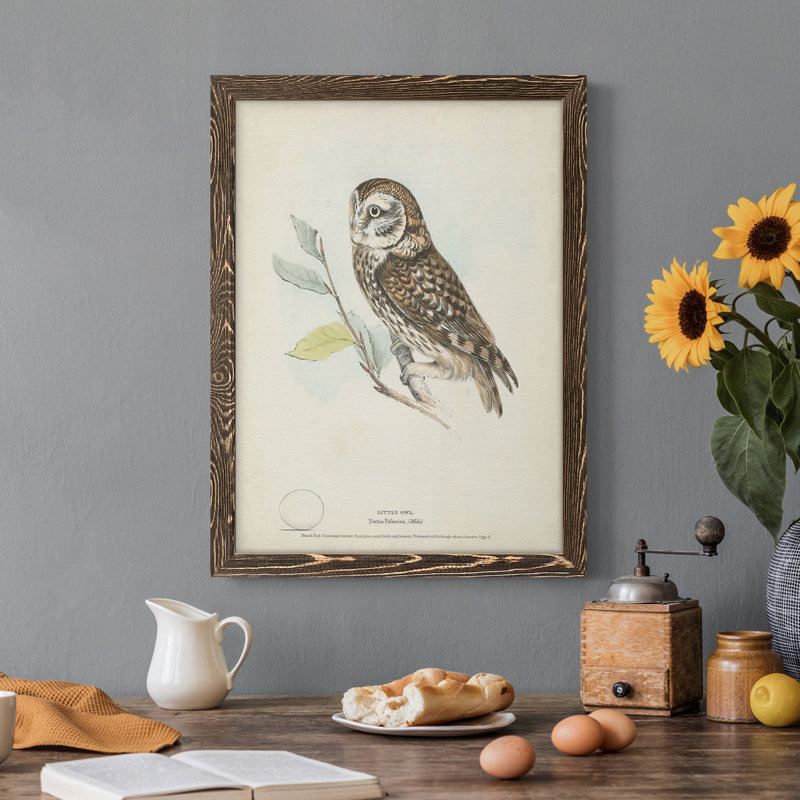Petite chouette, toile encadrée de qualité supérieure - prête à être accrochée, Noyer, H 32 po x l 23 po x P 1 po