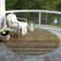 Machine Washable Indoor/Outdoor Claudian ACN1639 Brown Rug