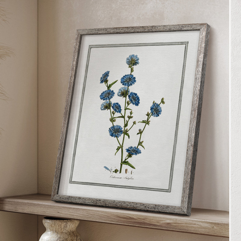 «Soft Botanical I», reproduction encadrée - bois massif, H 21 po x l 17 po