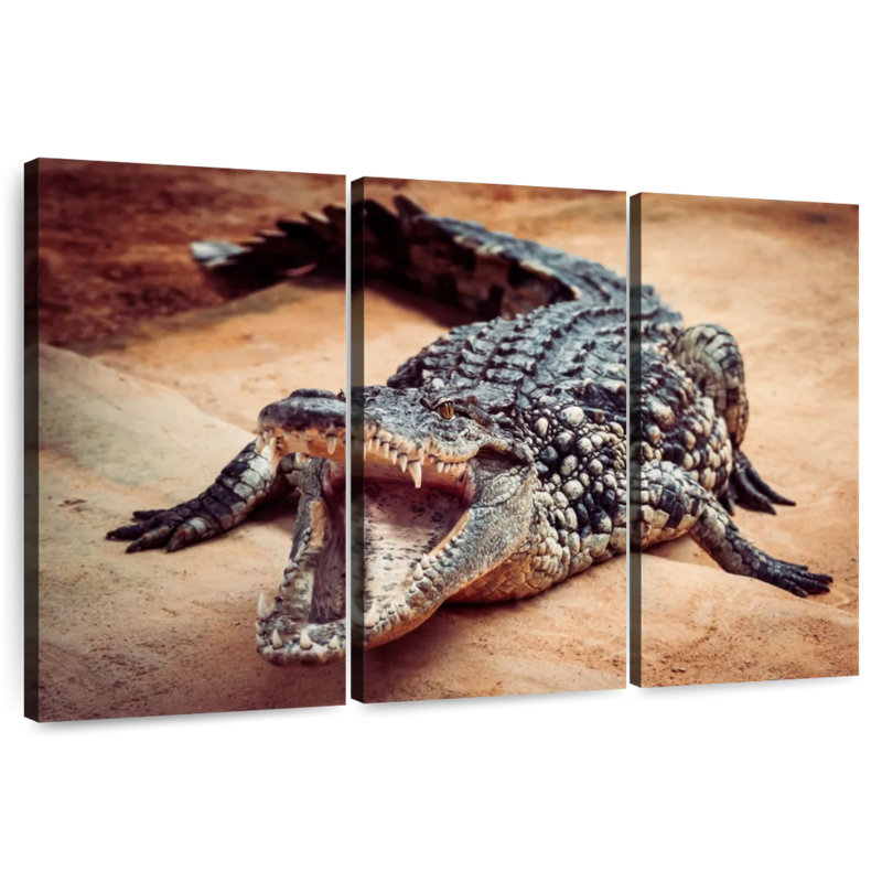 Crocodile Brampt, H 42 po x l 65 po
