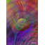 Wings of Light 7