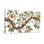 Plantes et fleurs, branche de pommier avec feuilles et fruits