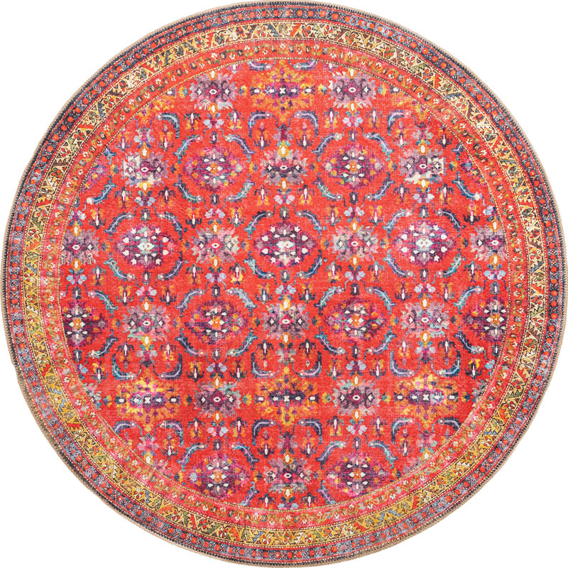 Mcclamma Chenille Oriental Indoor Rug, Runner 2' x 6'