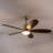 Mahawa 52" Ceiling Fan with LED Lights-1138054878