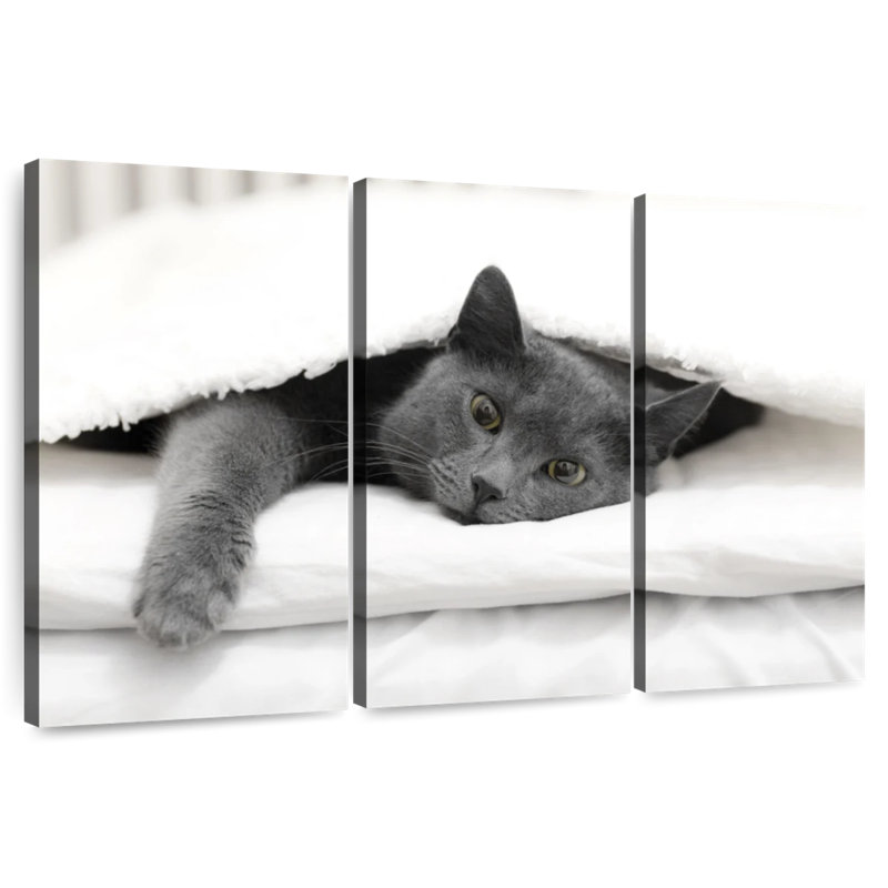 Lazy Cat, 48" H x 74" W