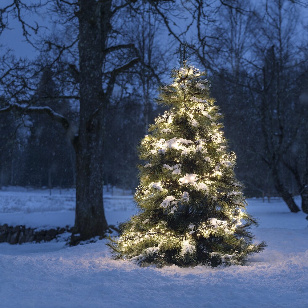 Lichterkette in Schwarz