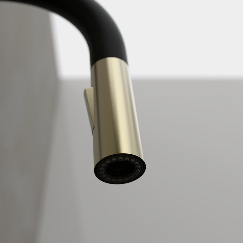 Keeney Pull Down Kitchen Faucet, Matte Black/Gold