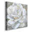 Bombshell Bloom II - impression sur toile tendue-479573624