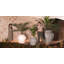 Venus Matt Polyethylene Pot Planter-65772845
