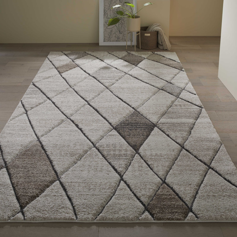 Akaysia Geometric Area Rug, Rectangle 80 x 150cm