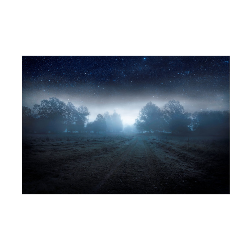 Art sur toile «Bolan Christian Lindsten Visions Of The Night», H 12 po x l 19 po