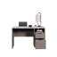 Bureau idéal pour le bureau ou le bureau dans la chambre ou le salon