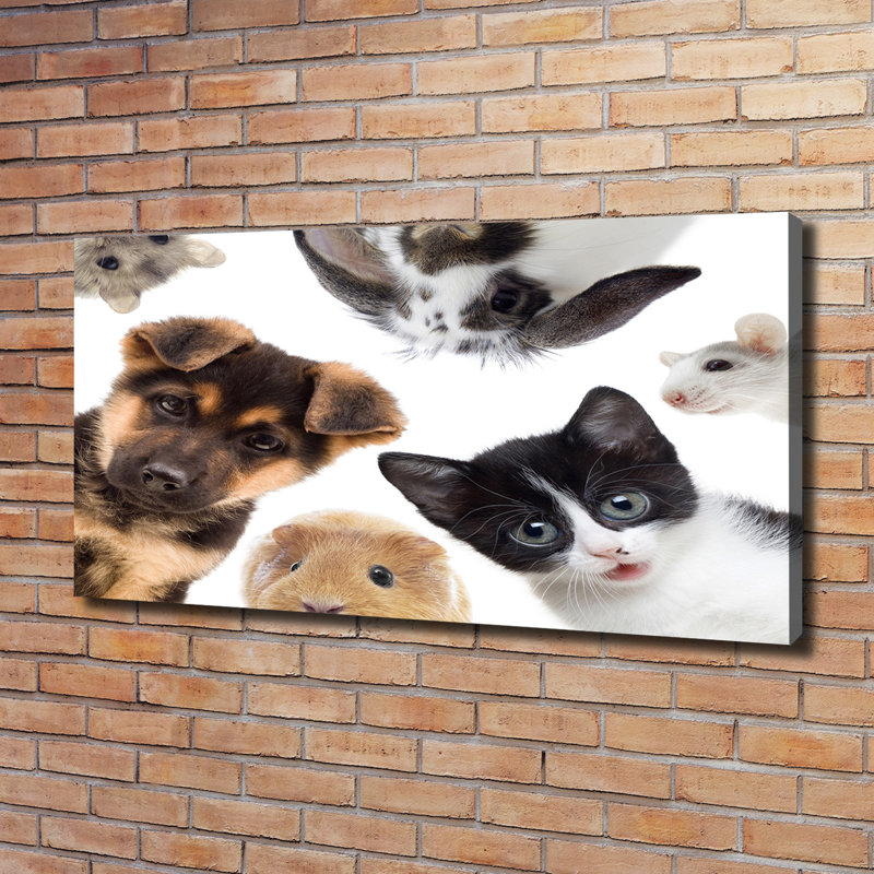 Pets - Wrapped Canvas Print