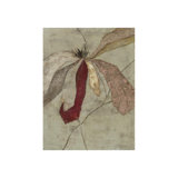 Fleur In Bloom III Print by Sarah Atkinson