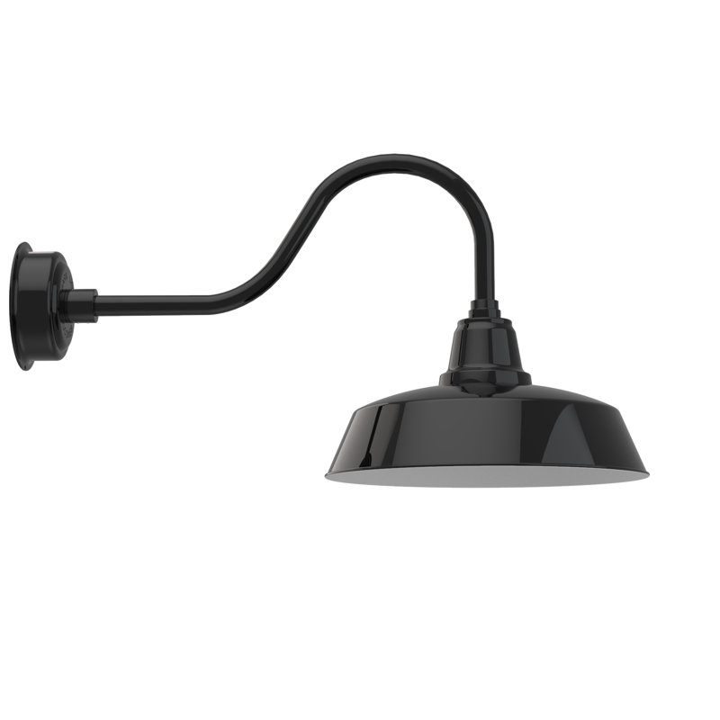 Luminaire de grange d'extérieur à DEL Vandervliet, H 16,88 po x l 16 po x P 31,75 po, Noir