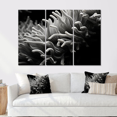 Noir et blanc «Anemoner Color Photo I - Coastal Coral Under Water», ensemble d'art mural