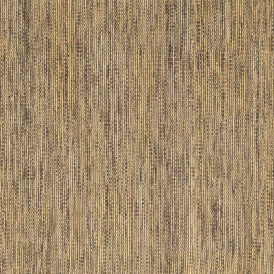 Anosha Washable Indoor Rug