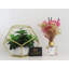 Diffuseur de bouteille Lily of the Valley
