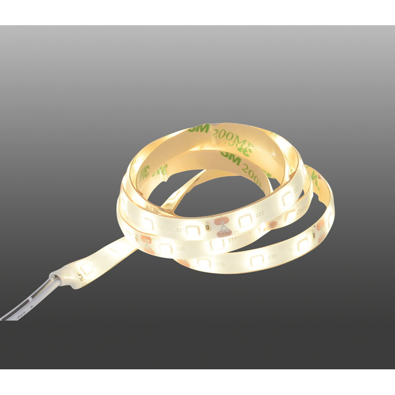 Desousa 100 cm LED Strip Light