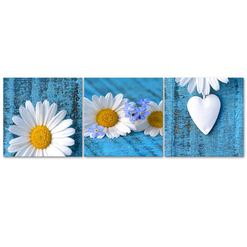 Daisies And Blue Hearts - 3 Piece No Frame Print on Canvas, 50cm H x 150cm W