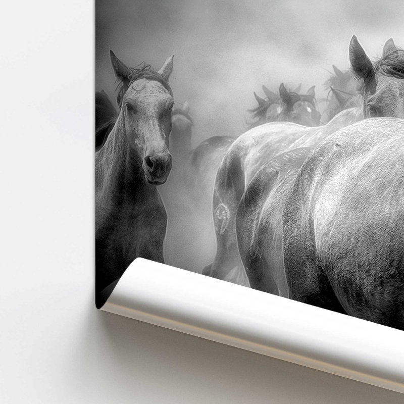 Thundering Hooves Print, No Frame, Paper, 8" H x 10" W