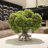 Silk Hydrangea Arrangement in Vase-550694992-550694993