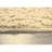 Ebern Designs Ivy. Large Area Rug Tan-1902433870