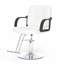 Fauteuil de coiffeur pour coiffeur - pivotant à 360 °, hauteur réglable, capacité 350 lb avec pompe hydraulique robuste, blanc-1401014442-1401014444