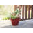 Beehive Pot Planter-91225320