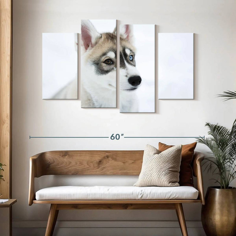 Husky criard