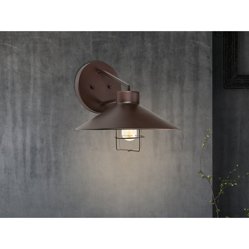 Luminaire de grange d'extérieur Dan, Noir, H 11,5 po x l 12 po x p 12,5 po