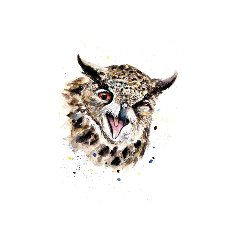 " Winking Owl " by Anna Tityushina, 12" H x 12" W, No, Wrapped Canvas