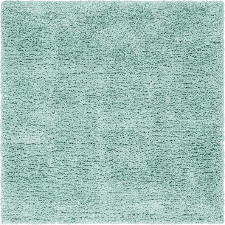 Indoor Rug