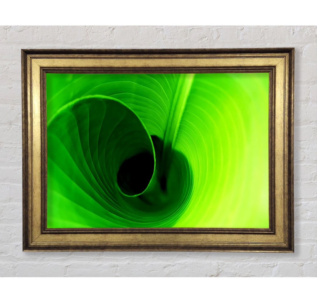 Twist of a Green Leaf - Einzelner Bilderrahmen Kunstdrucke