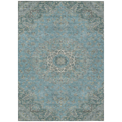 Machine Washable Indoor/Outdoor Chantille ACN2543 Global Rug