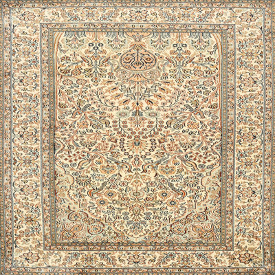 Actin Oriental Indoor Rug