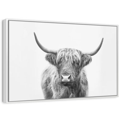 Highland Bull I