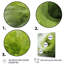 «Green and White Whsipering Abstract Spiral I», art mural spirales abstraites-1284277769-1284277872