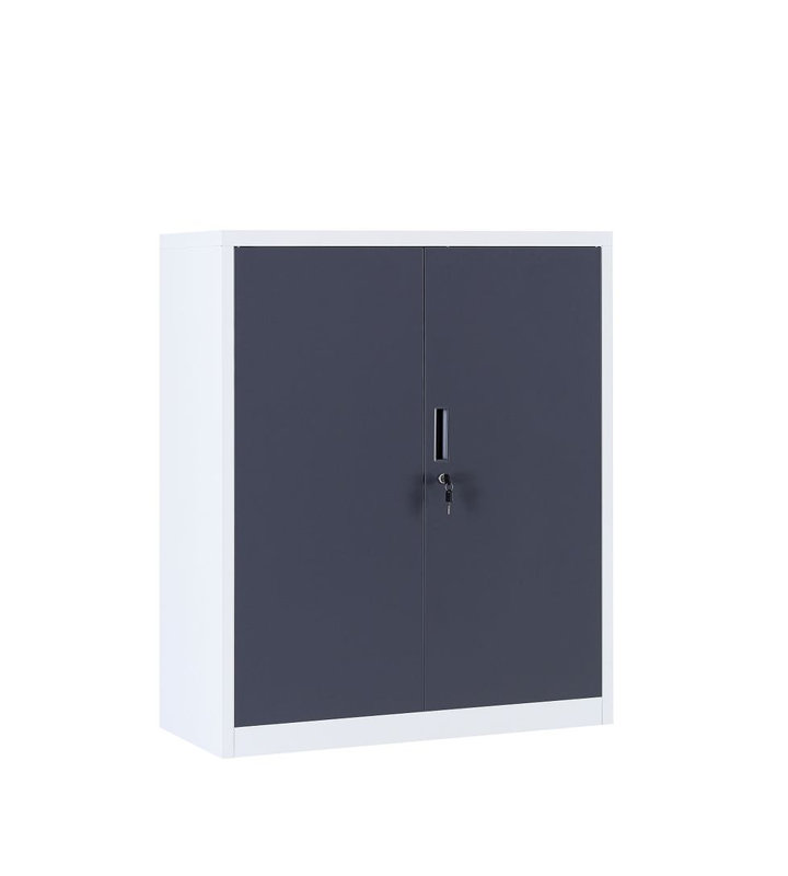 Ralyn Metal Storage Cabinet with Lock, 2 Doors, 2 Shelves, White/Grey