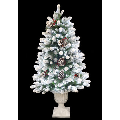 Lighted Spruce Christmas Tree