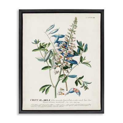 " Botanical Plant Illustration Flowers And Leaves Vintage Design " by World Art Group