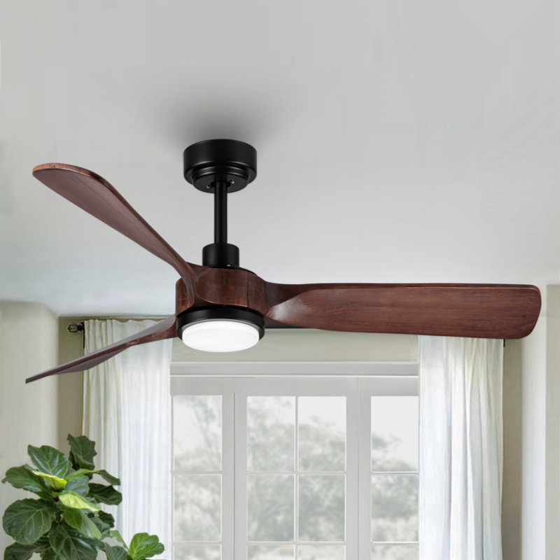 Iyahna 52'' Ceiling Fan with LED Lights